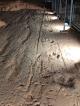 Dinosaur Stampede at Lark Quarry
 - 5 Day Winton Explorer - WTNEXP Red Dirt Tours