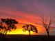 Rangelands Sunset Tour
 - 5 Day Winton Explorer - WTNEXP Red Dirt Tours