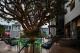 Paddock Bar Deck
 - Rydges Fortitude Valley