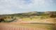 View to Mount Panorama  - Rydges Mount Panorama Bathurst