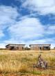 Dubbo Accommodation, Hotels and Apartments - Savannah Cabins