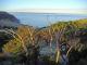 Lodge deck view
 - Sea Dragon Kangaroo Island