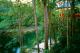 View of Jungle Perch
 - Silky Oaks Lodge