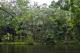 View of Silky Oaks from River
 - Silky Oaks Lodge