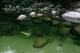 Billabong 3
 - Silky Oaks Lodge