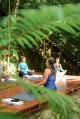 Yoga on the Riverbank  - Silky Oaks Lodge