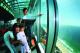 Surfers Paradise Attractions and Theme Parks Tickets - Skypoint 1 Day Ticket