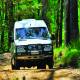 Mt Tamborine Tour
 - Kangaroos and Mountain Views Southern Cross Tours