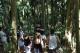 Guided rainforest walk - Beginners Learn to Surf Lesson Australian Surfing Adventures