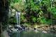 Mt Tamborine Waterfall
 - The Tastes of Tamborine Mountain TOTM Southern Cross Tours