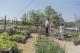 Market garden
 - Spicers Hidden Vale