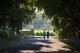 St Hugo Cork Trees
 - St Hugo Kitchen Garden Cooking/St Hugo Garden to Table Exper St Hugo