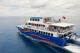 Tropic Sunseeker
 - Moore Reef Outer Barrier reef Day Cruise + Snorkel Tour Sunlover Reef Cruises