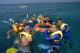 Guided snorkel tour
 - Reef & Island Full Day Tour Sunlover Reef Cruises