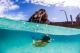 Snorkelling the Wrecks
 - Tangalooma Island Resort