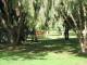 Gardens
 - Territory Manor Motel & Caravan Park