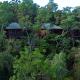 Accommodation amongst the forest
 - Thala Beach Nature Reserve
