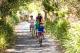 Family Activity
 - The Cubana Ballina