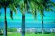 Palm Deck Bay
 - The Mangrove Resort Hotel
