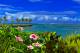 Resort
 - The Naviti Resort