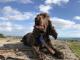 Resident dog Cooper at The Peace & Plenty Inn
 - The Peace & Plenty Inn