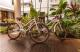 Bikes
 - The Reef House Adults Retreat