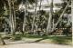 Complimentary Yoga Classes
 - The Reef House Adults Retreat