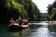 Rafting
 - Tongariro Lodge