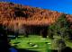 Wairakei Golf
 - Tongariro Lodge
