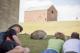 Wombats on Maria Island  - Maria Island National Park Tours Tasmania