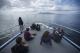 Ferry to Maria Island
 - Maria Island National Park Tours Tasmania