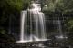 Russell Falls, Mt. Field National Park
 - Mt Field, Wildlife & Mt. Wellington - Active Day Tour Tours Tasmania