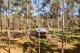 View of chalet through the Rosegum plantation - Tree Chalets