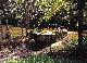 
 - Classic Kuranda - ex Port Douglas - PKB Tropic Wings Cairns Tours
