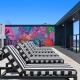 Pool Loungers
 - TRYP by Wyndham Southport Gold Coast