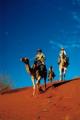 Tour - Camel Ride
 - Voyages Sails In The Desert