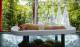 Vichy Shower
 - Silky Oaks Lodge