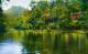 Daintree Rainforest
 - Silky Oaks Lodge