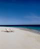 Wilson Island  - Wilson Island Resort