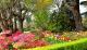 Gardens
 - Leura Gardens Resort