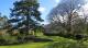 Gardens
 - Leura Gardens Resort