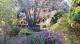 Gardens
 - Leura Gardens Resort
