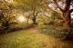 Gardens
 - Leura Gardens Resort