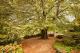 Gardens - Leura Gardens Resort