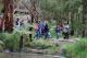 Guided walk at Wildlife Wonders
 - Private Wildlife Tour with Conservationist Guide Wildlife Wonders