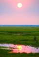 Moon over wetlands
 - Wildman Wilderness Lodge