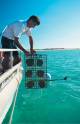 The Kimberleys Tours, Cruises, Sightseeing and Touring - Pearl Luggers Tour