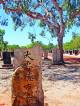 Japanese Cemetery  - Pearl Luggers Tour Willie Creek Pearl Farm