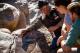 Cultural tours
 - Discovery ResortsâWilpena Pound