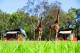 Central NSW Accommodation, Hotels and Apartments - Zoofari Lodge